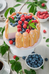 Closeup of tasty yoghurt cake with berries and biscuits