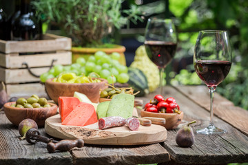 Table with appetizers and wine in summer garden