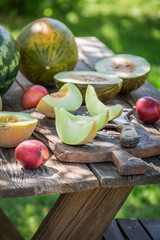 Closeup of various fresh fruits in garden