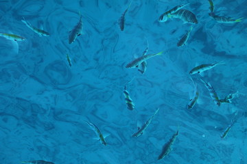 La mer vue du dessus