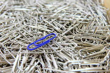 Dark blue paper clip on paper clips background.