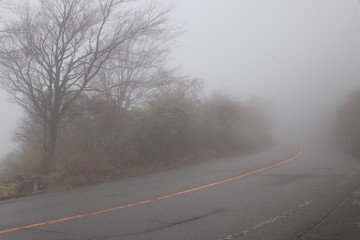 大観山の濃霧