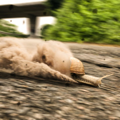 A Racing Snail that leaves a Dust Trail