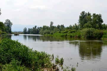 Fototapeta na wymiar a river 