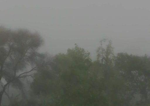 Sand Storm typhoon lash trees in video