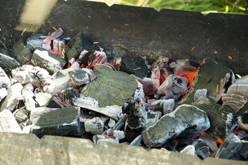 barbecue on the grill in the summer outdoors, ignition, burnt-out coal smoldering