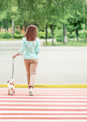 Young adult woman crossing street on crosswalk with small dog jack russel terrier at summer day. Female walking with her pet to city park