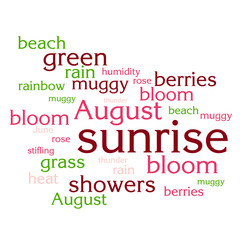 cloud of words list about summer season