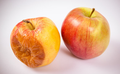 Rotten apple isolated on a white background.