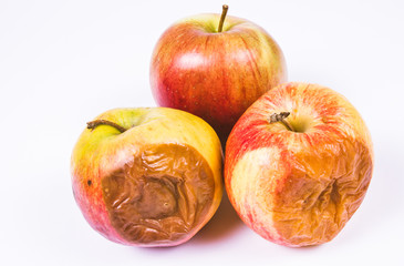 Rotten apple isolated on a white background.
