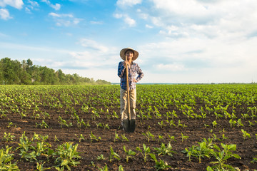Happy small farmer with spade in spring field © Kotangens
