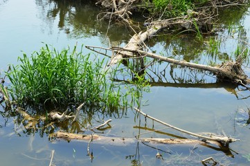 river
