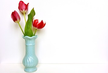 tulips in a vase