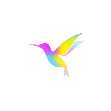 Hummingbird. Bright bird on white background. Vector illustration