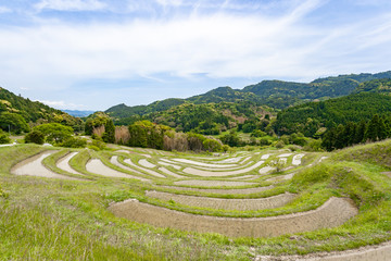 大山千枚田