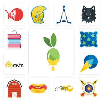 Set of olive oil, archery, chopper, hot dog, barn, paper plane, sun moon, pillow, book shop icons