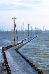 Fototapeta premium 江川海岸
