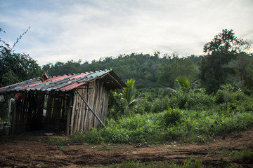 Bamboo Cabin in the nature with trees background