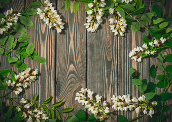 Spring postcard to the Trinity. Blossoming acacia on the background of dark wood