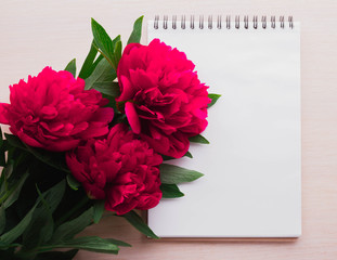 flowers red or pink peony and a notebook on a light background. place for text