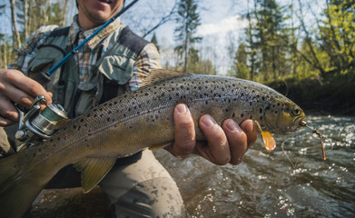 Fisherman holding brown trout