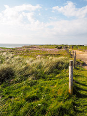 Pointe aux oies nature park coastline between Wimereux and Ambleteuse in the French Opal Coast in...