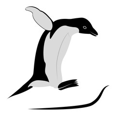 Vector image of jumping penguin