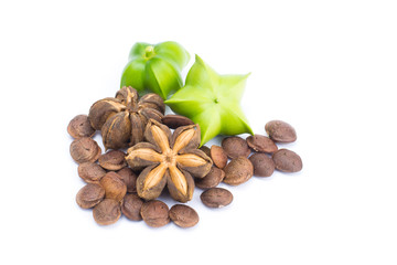 Plukenetia volubilis or sacha inchi peanut seed isolated on white background