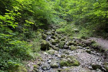 Flusslauf in den Alpen
