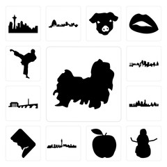 Set of shih tzu, snowman, apple, las vegas skyline, dc, kansas city dc karate kick icons