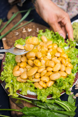 Woman hands holds white beans cooked with herbs, onion, garlic and spices. Served with salad leaves and vegetables. Raw vegan vegetarian healthy food. Farm organic product
