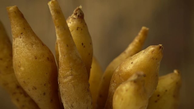 Rotating of finger root, close-up, 4K