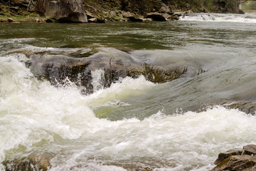 Strong flow and boiling of water in mountain river with splashes. Fast stream in the Carpathians, Ukraine. Stones in a mountain river. Natural background of water.