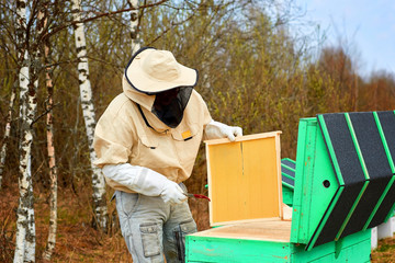 beekeeper bee cleans the hive in the woods