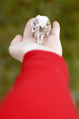 Primer plano de la mano de una mujer con jersey rojo sujetando la calavera de un pequeño animal