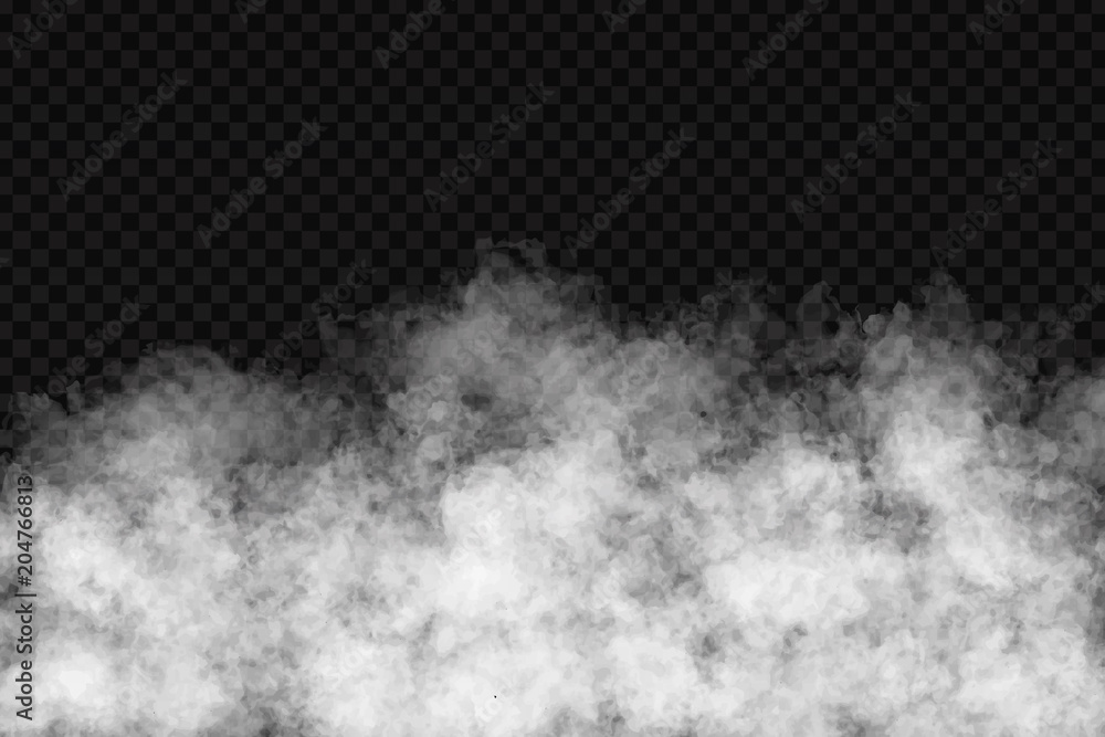 Wall mural vector realistic isolated smoke effect for decoration and covering on the transparent background.