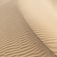 Beautiful sand dune in Thar desert, Jaisalmer, Rajasthan, India.