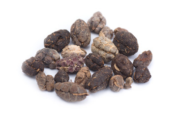 Thai herb name Amomum  villosum Wall.or Bustard cardamom isolated on white background. Thai herb medicine concept.