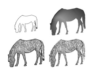 Line art of horse eating grass on white background