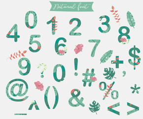 natural cute alphabet with palm, tree,hibiscus and flower