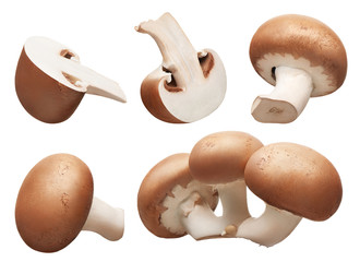 Collection of group, whole and cut royal champignon mushrooms