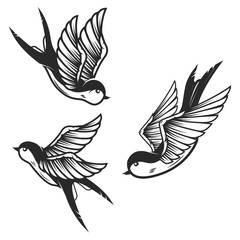 Set of swallow birds on white background. Design elements for logo, label, emblem, sign. - obrazy, fototapety, plakaty