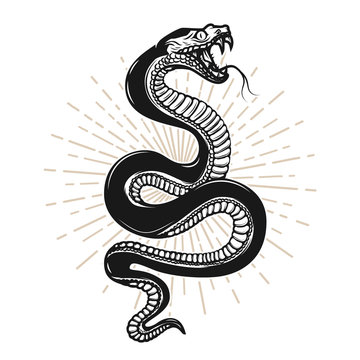 Snake illustration on white background. Design element for poster, t shirt, emblem, sign.