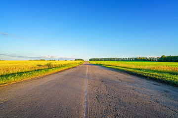 Driveway in countryside at summer