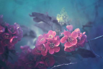 pinkes Blumenmeer