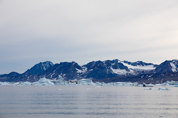 Die Wildnis der Arktis