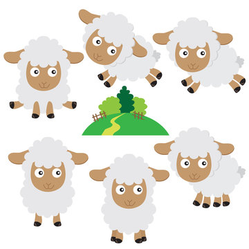 Cute sheep vector cartoon illustration