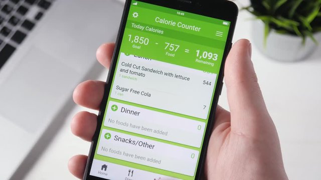 Using calorie counting app on the smartphone