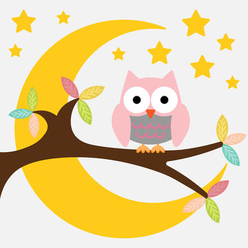 Owl on a branch on a night moon sky background