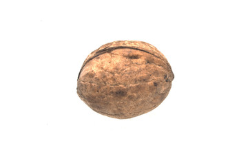 Fototapeta na wymiar walnut isolated on white background